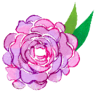 Sophisticated Florals by Stephanie