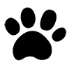 Soquel Creek Animal Hospital