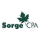 Sorge CPA & Business Advisors, S.C. - Oshkosh