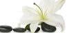 Soulstice Day Spa & Salon-Gardner Village