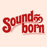Soundborn Studios Vienna