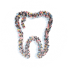 South Cheshire Local Dental Committee