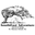 Southeast Adventure Outfitters