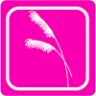 Southern Frock Shoppe