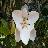 Southern Oaks Nursery & Landscaping