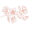 Southern Posies