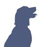 South Hingham Veterinary Services, LLC