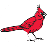 Cardinal City Realty Inc.