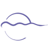 SouthWest Therapeutic Massage, LLC
