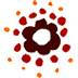 SOUTH ORISSA VOLUNTARY ACTION ( SOVA), Koraput