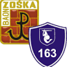 Szkoła Podstawowa nr 163 im. Batalionu Zośka