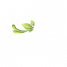 Spa 505