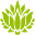 Spakolkata