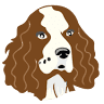 Spaniel Aid UK