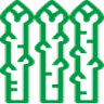 Federhof Spargel - Harrer