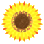 Sparta Florist & Gifts