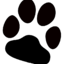 Spearfish Animal Hospital