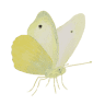 Natuurspeeltuin en -educatiecentrum de Speeldernis - Een leuk dagje weg
