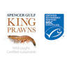 Spencer Gulf King Prawns