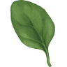 Spinach Restaurant