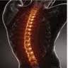 SpineX Physiocare (Bulk billed Physio, Bulk billed Osteo, Bulk billed Exercise Physiologist, Bulk billed Dietitian)