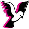 Spirit Gymnastics