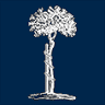 Spivey Orthopedic Clinic | Orthopedics