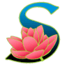 Splash Plants
