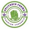 Splitrock Farms