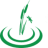 Ptasi Stawek