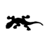 LIZARD sportoveleginy.sk