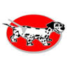 Spots Carpet Care