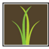 Spring Creek Dental