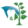 SpringCrest Dental