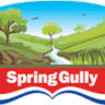 Spring Gully Foods