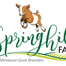 Springhill Farm Miniature Goats