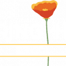 Spring Hill School