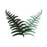 Springslade Lodge