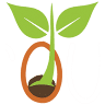 Sprouts Preschool
