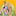 Sri tour & travel agencies