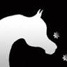 South Serenity Arabians