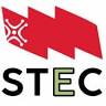 STEC (Sindicato de Trabajadores y Trabajadoras de la Enseñanza de Cantabria)