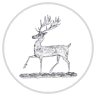 The Stag Gallery