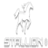 STALLION ARGENTINA SRL