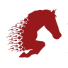 Stallion A I Services Ltd