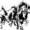 Stampede Steakhouse