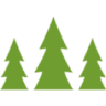 St Andrews Forest Lodges