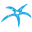 Starfish Cruises