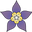 Starflower Jewelry