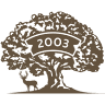 Staria Chinar Preslav